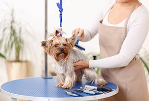 PET SERVICES<br></br>